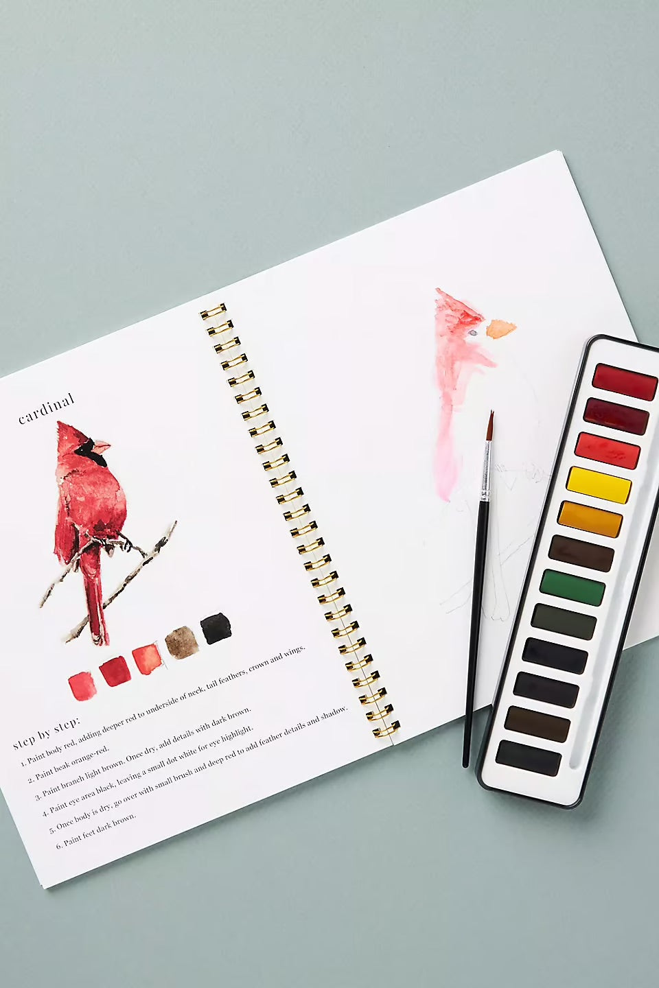 StartAkvarell™ | Tänd din kreativitet med vår roliga arbetsbok för akvarell!