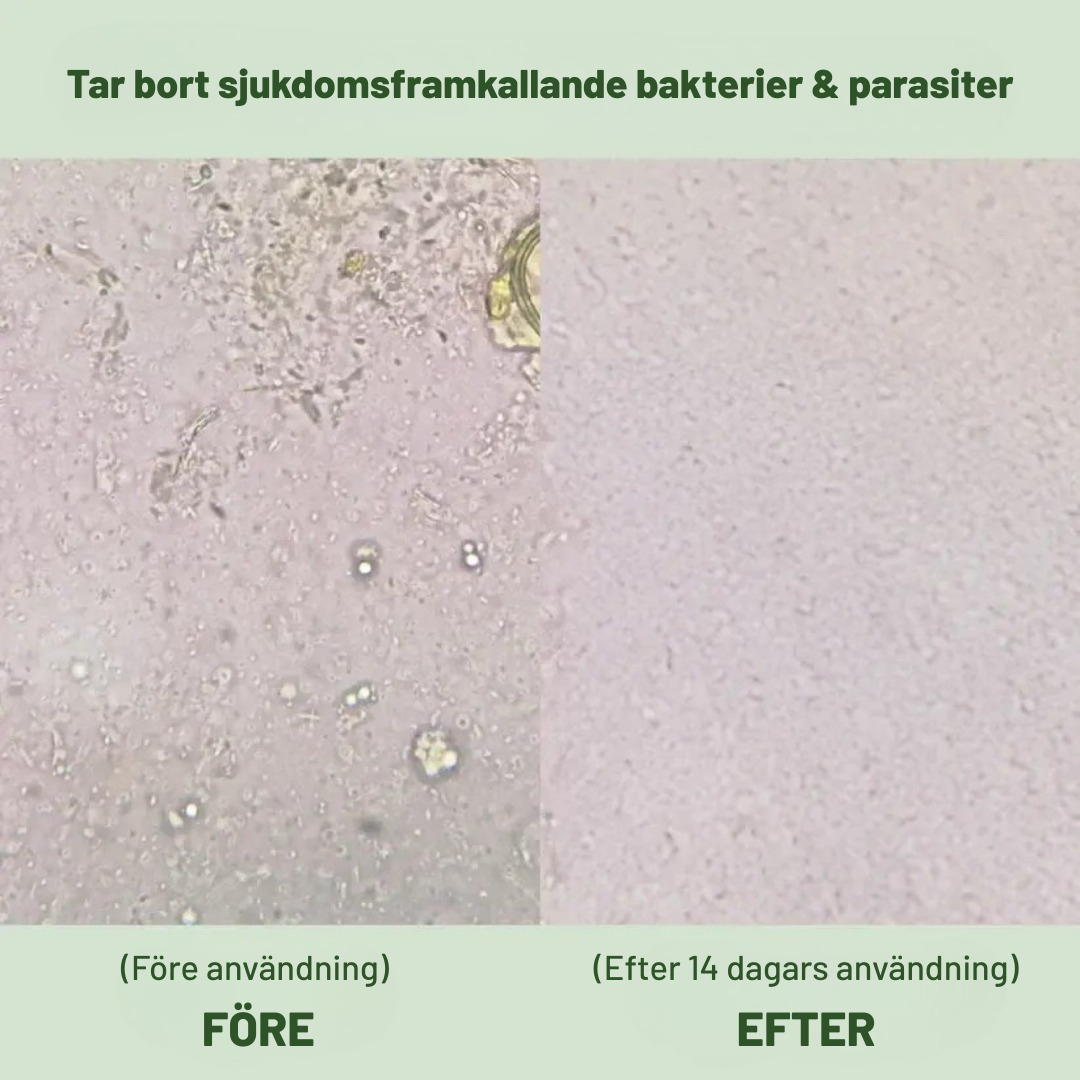 Oil of Oregano™ | Naturligt skydd och inre balans