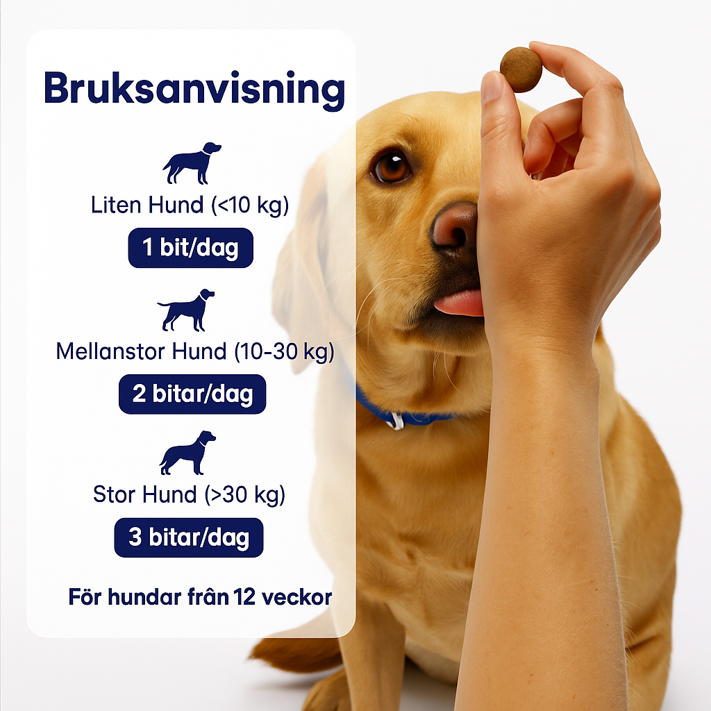 HealthyHound™ | 3-i-1 Probiotika som främjar din hunds Mag-, Hud- & Energiproblem. NU 1+1 GRATIS & 2+2 GRATIS MED EXTRA RABATT