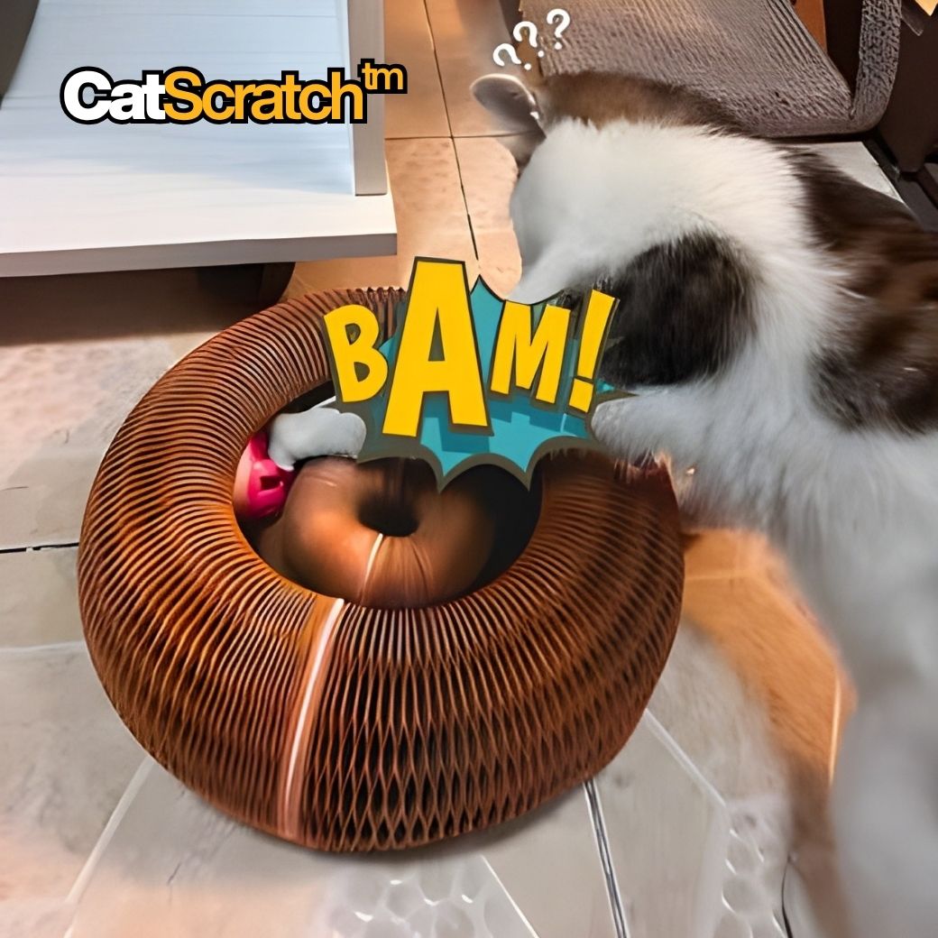 CatScratch™ | Rolig klöslek för aktiva katter