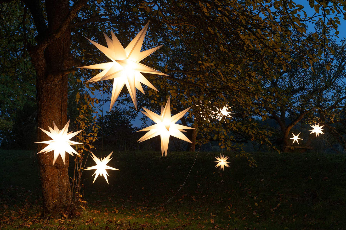 LjusStjärna™ | ✨ Lys upp vintermörkret med en magisk julstjärna