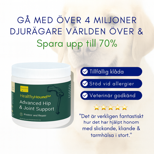 HealthyHound™ | 3-i-1 Probiotika som främjar din hunds Mag-, Hud- & Energiproblem. NU 1+1 GRATIS & 2+2 GRATIS MED EXTRA RABATT