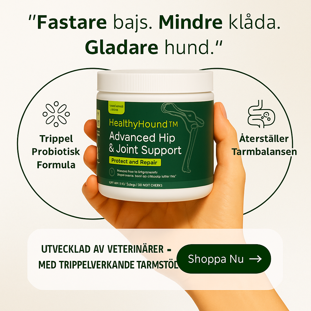 HealthyHound™ | 3-i-1 Probiotika som främjar din hunds Mag-, Hud- & Energiproblem. NU 1+1 GRATIS & 2+2 GRATIS MED EXTRA RABATT