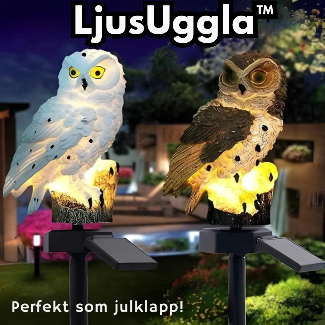 LjusUggla™ | Solcellsdriven ugglampa för trädgården