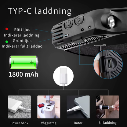 NightLite™ - Den enda lampa du någonsin kommer behöva för dig och din hund