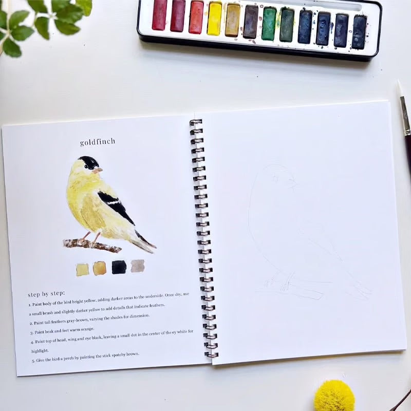 StartAkvarell™ | Tänd din kreativitet med vår roliga arbetsbok för akvarell!