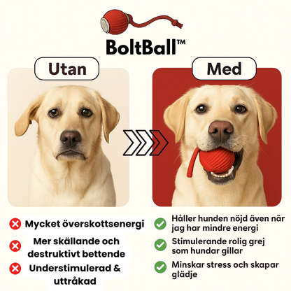 BoltBall™ | Låt din hund roa sig på egen hand – så får du äntligen lite lugn och ro hemma
