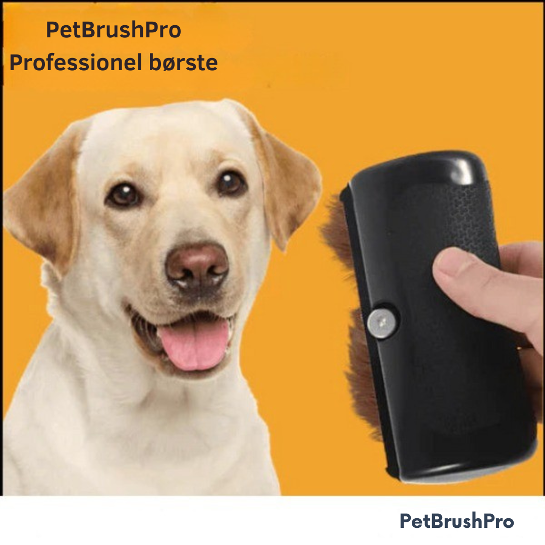 PetBrushPro™ | Borsten som tar bort löst hår på sekunder