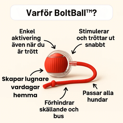 BoltBall™ | Låt din hund roa sig på egen hand – så får du äntligen lite lugn och ro hemma