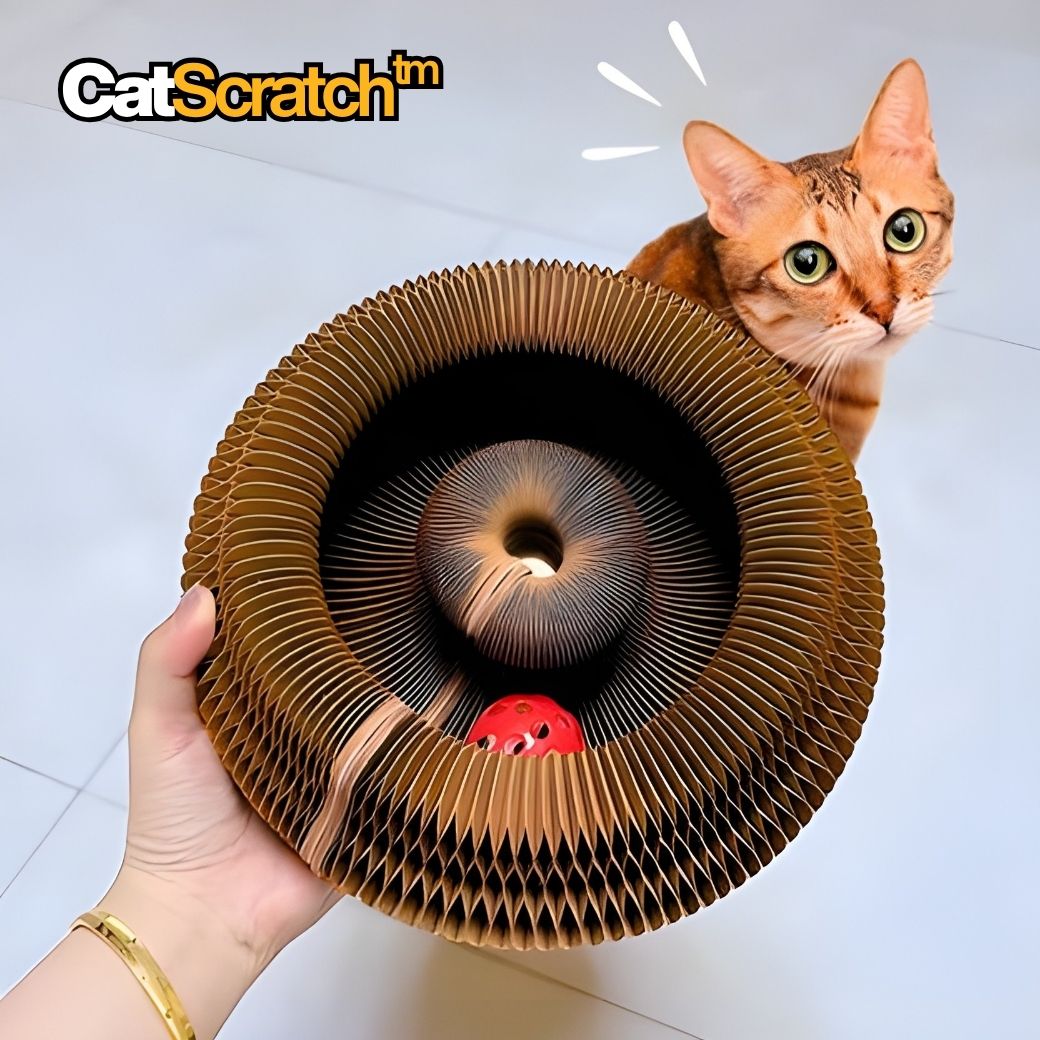 CatScratch™ | Rolig klöslek för aktiva katter