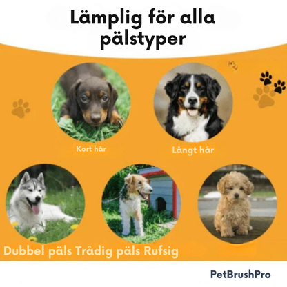 PetBrushPro™ | Borsten som tar bort löst hår på sekunder