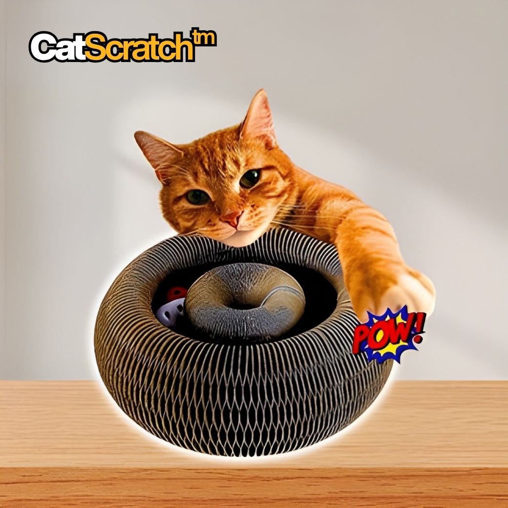 CatScratch™ | Rolig klöslek för aktiva katter