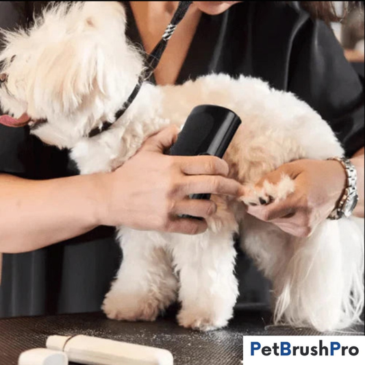 PetBrushPro | Borsten som tar bort löst hår på sekunder