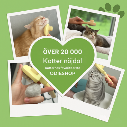 CatGroom™ | Borsten som tar bort underull utan kämpande