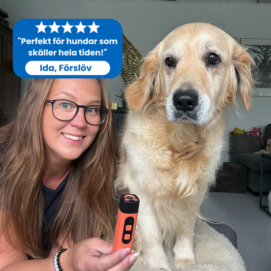 Barky™ | Den enkla vägen till en tystare vardag