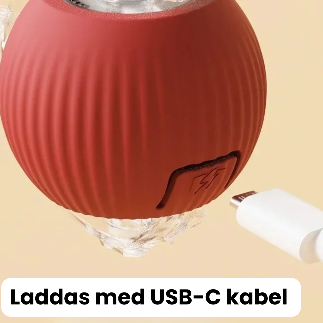 BoltBall™ | Låt din hund roa sig på egen hand – så får du äntligen lite lugn och ro hemma