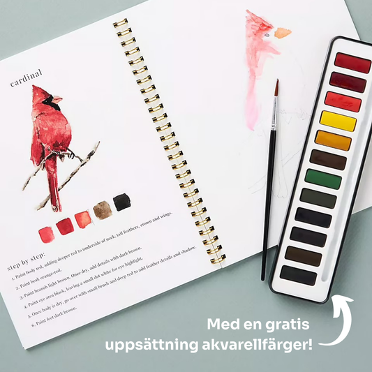 StartAkvarell™ | Tänd din kreativitet med vår roliga arbetsbok för akvarell!