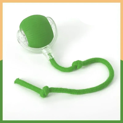 BoltBall™ | Låt din hund roa sig på egen hand – så får du äntligen lite lugn och ro hemma